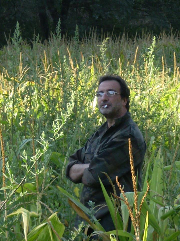 Mancinelli