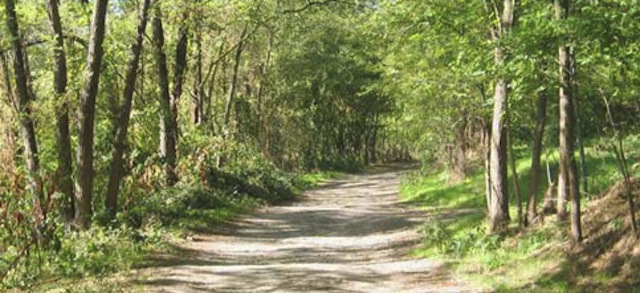 IT_10_MAIN_Via_Francigena