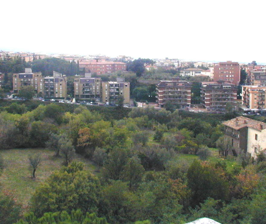 arcionello3