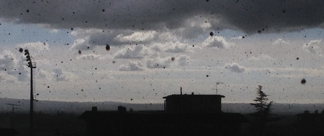 foto 3cop