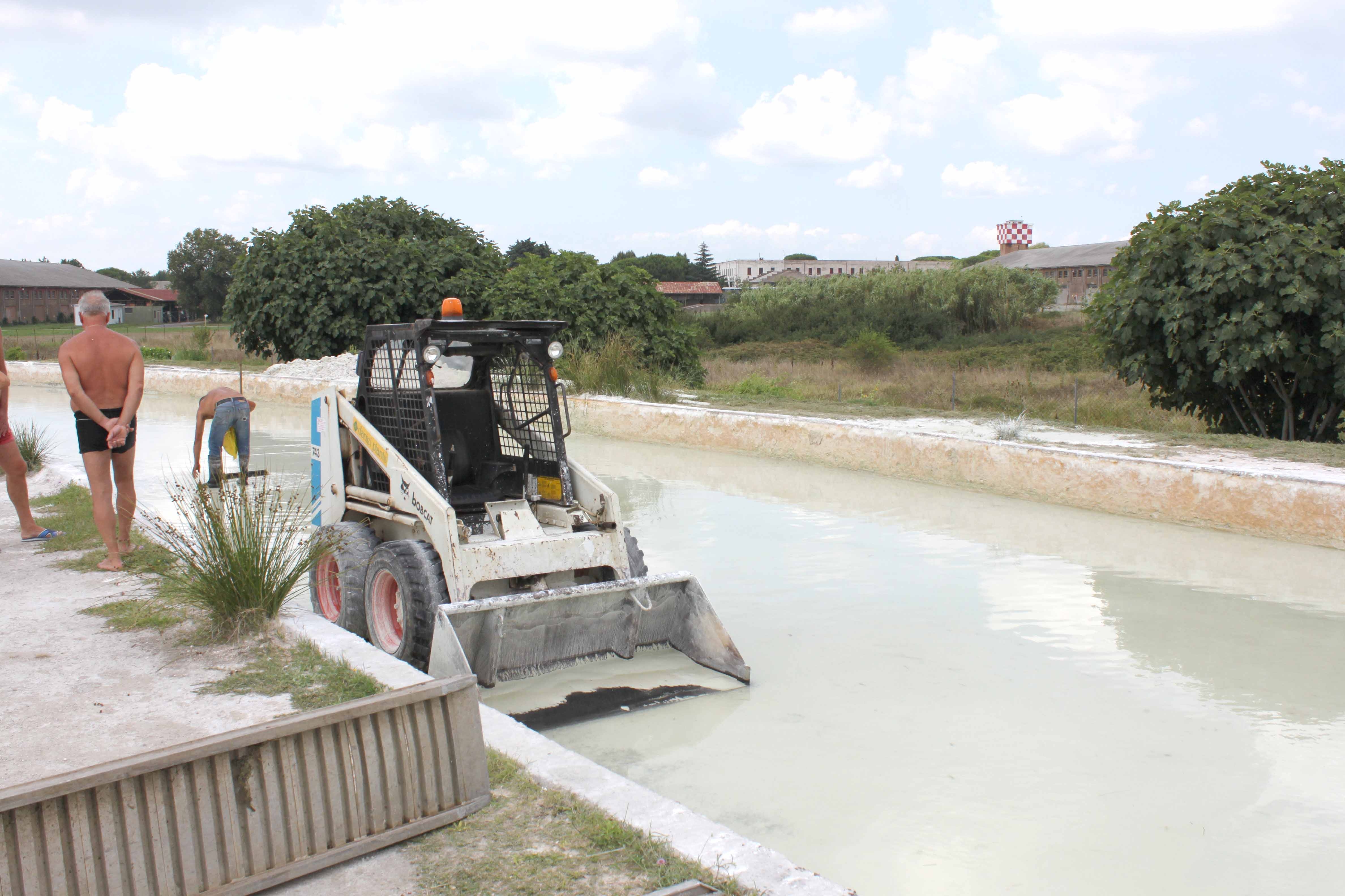 Vasca grande Il bobcat utilizzato