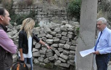 michelini2