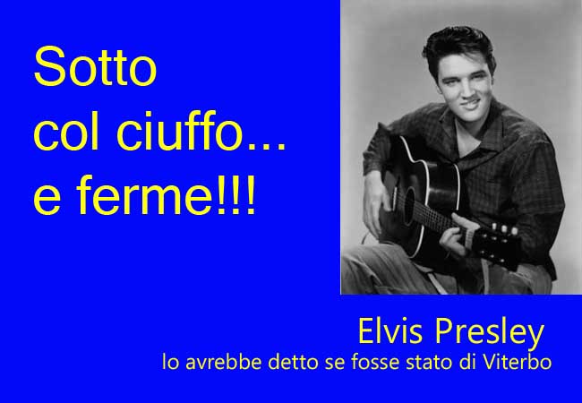 elvis-vt