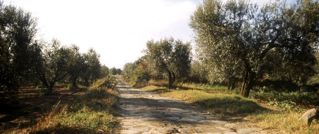 YesWeekend_13_Foto_Anteprima