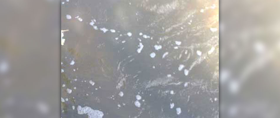 urcionio2006