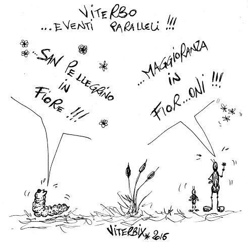 viterbix fioroni