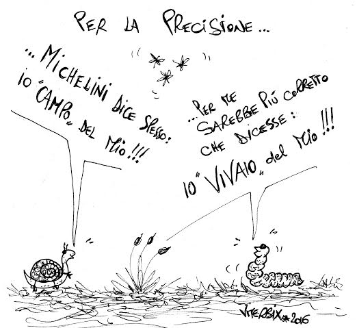 viterbix vivaio