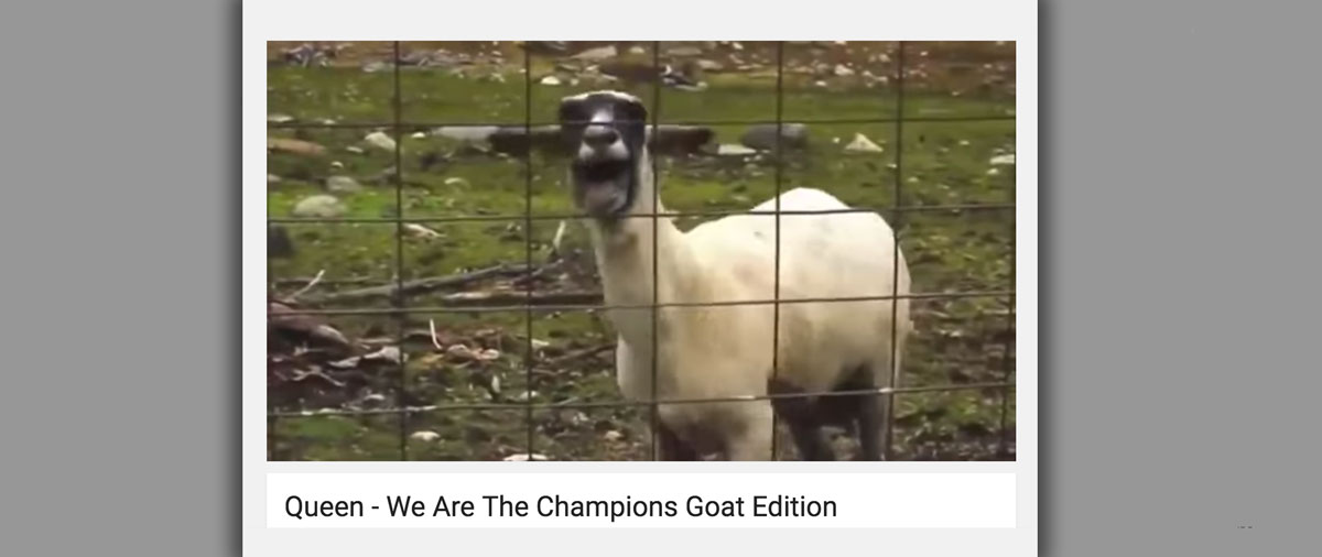 Goat-version