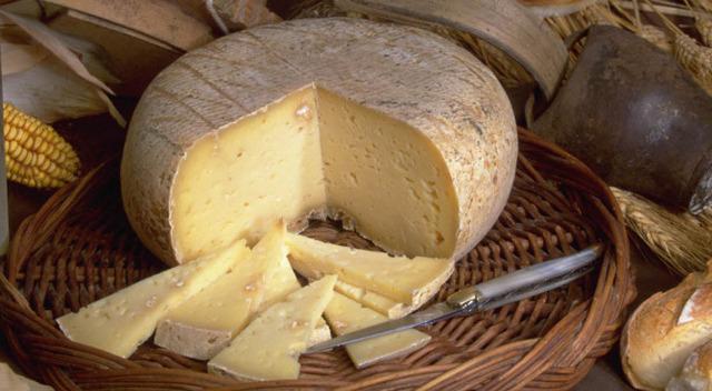 TNX-4829-tomme_pyrenees