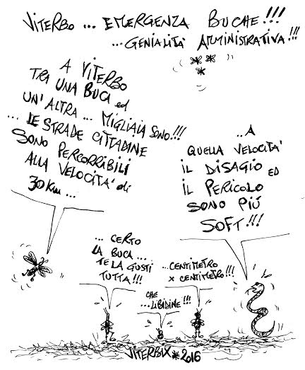 viterbix buche
