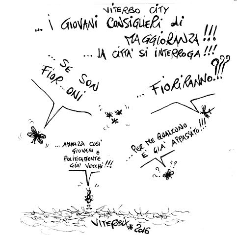 viterbix, consiglieri
