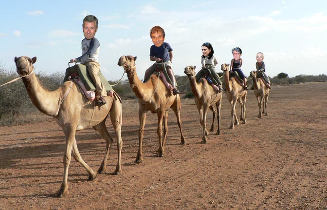 Camelride1
