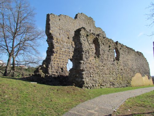 castel araldo