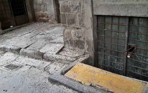 piccioni