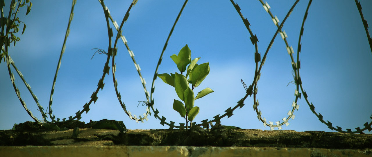 carcere