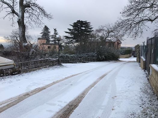 cimini