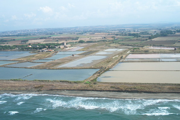 saline