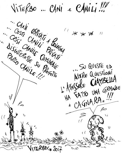 canile viterbix