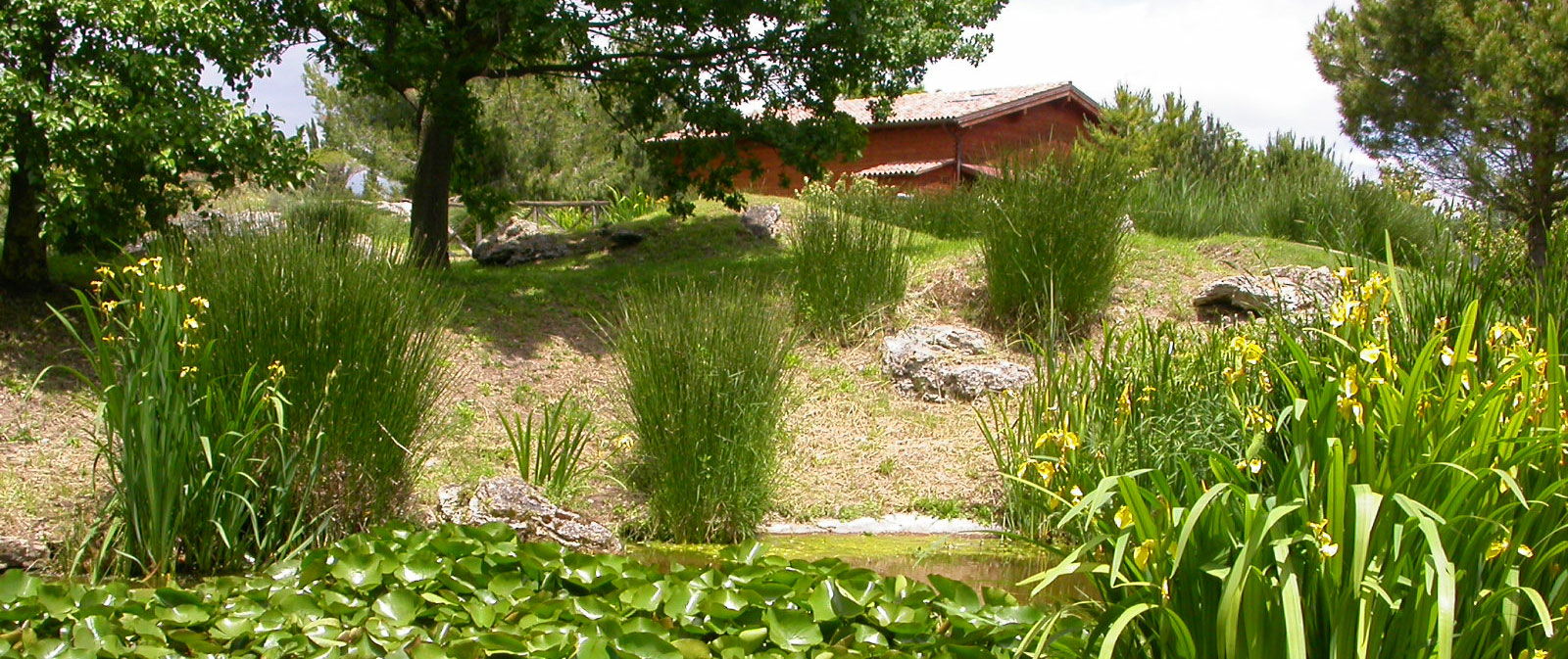 Orto-botanico