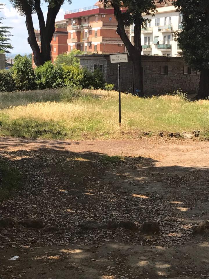 Prato Giardino 13