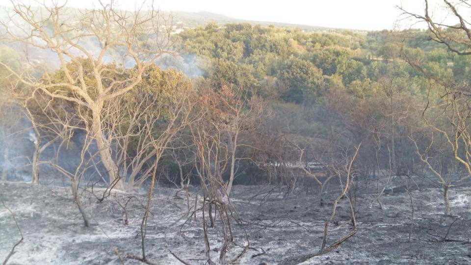 incendio ponte cetti 1
