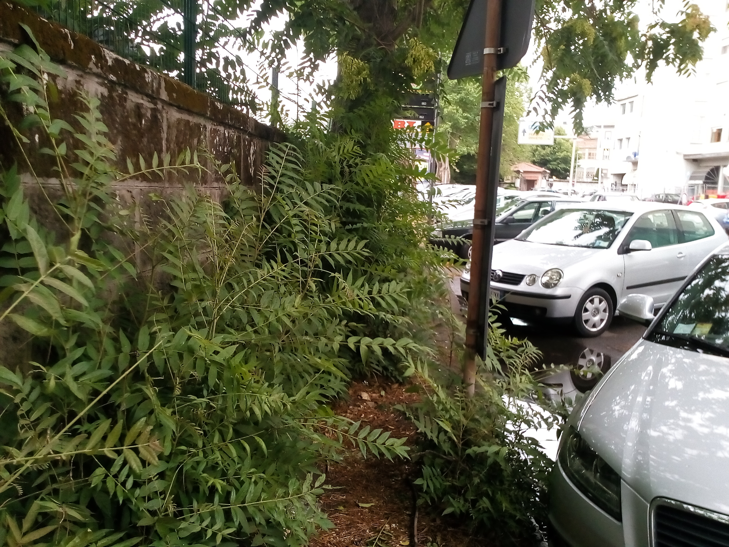 Viale Baracca 1