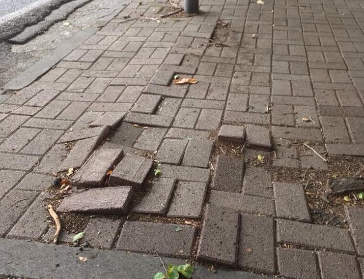 Viale Baracca 4