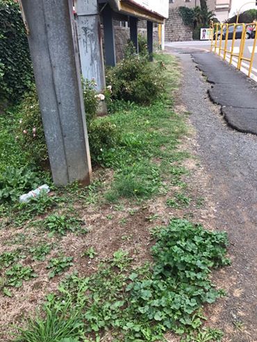 piedi 1
