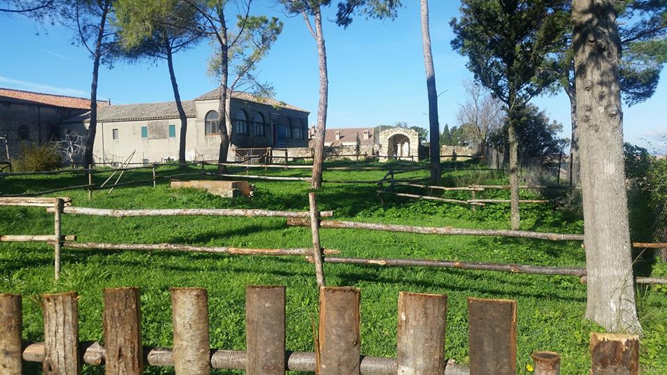 Esterno del convento di San Francesco