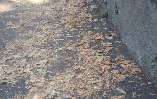 Viale Trieste 3