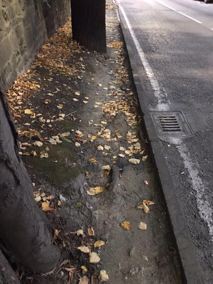 cimini 0