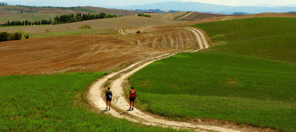 francigena