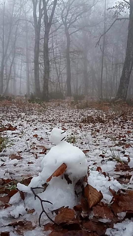 Neve Vetralla