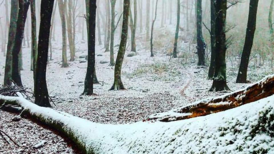 neve a