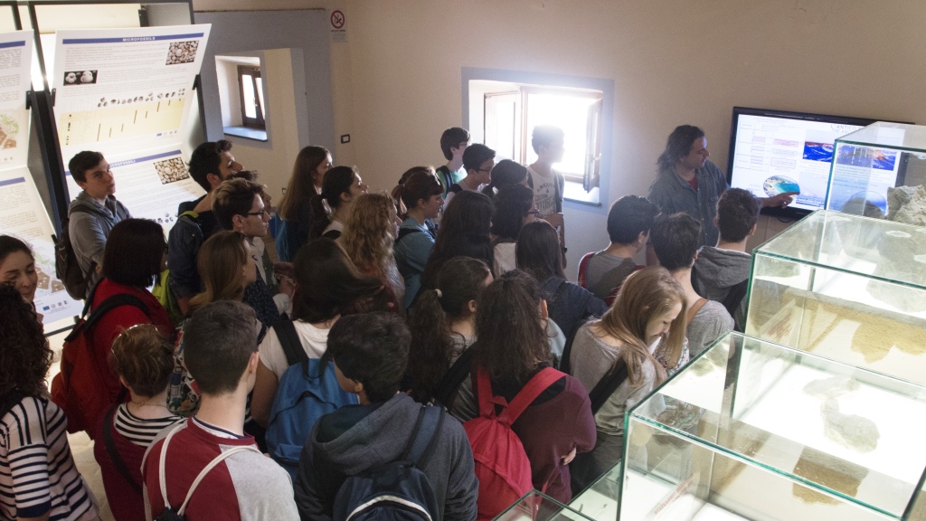 Museo Frane 5