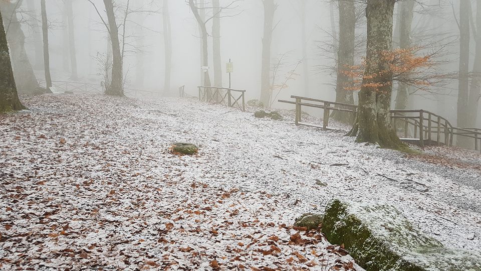 neve 3