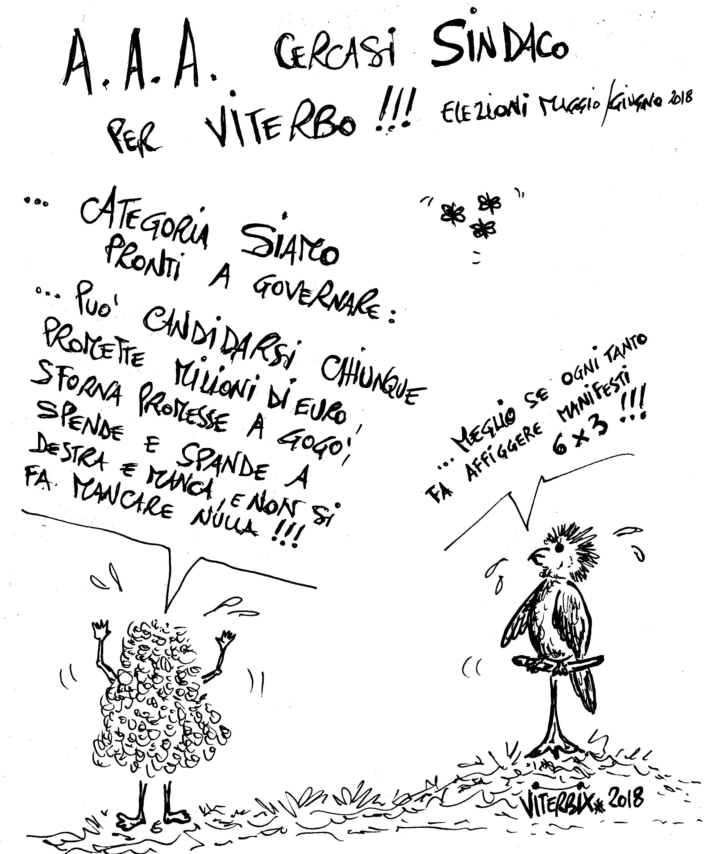 12.A.A.A.CERCASI.SINDACO