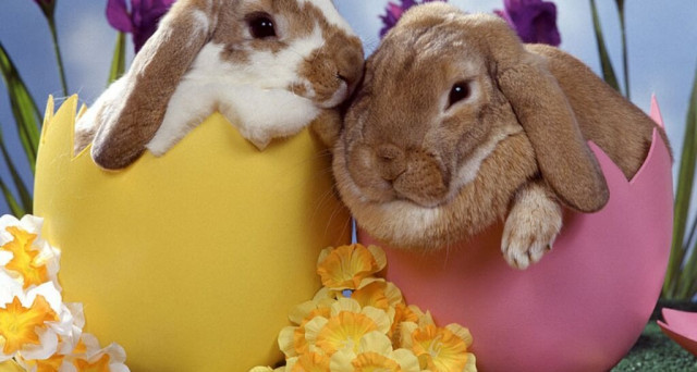 buona pasqua