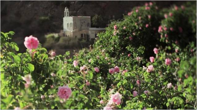 ROSETO