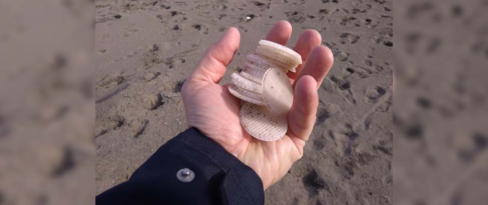 dischetti-spiaggia-tarquinia-ok
