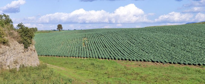 Untitled_Panorama3-680x280