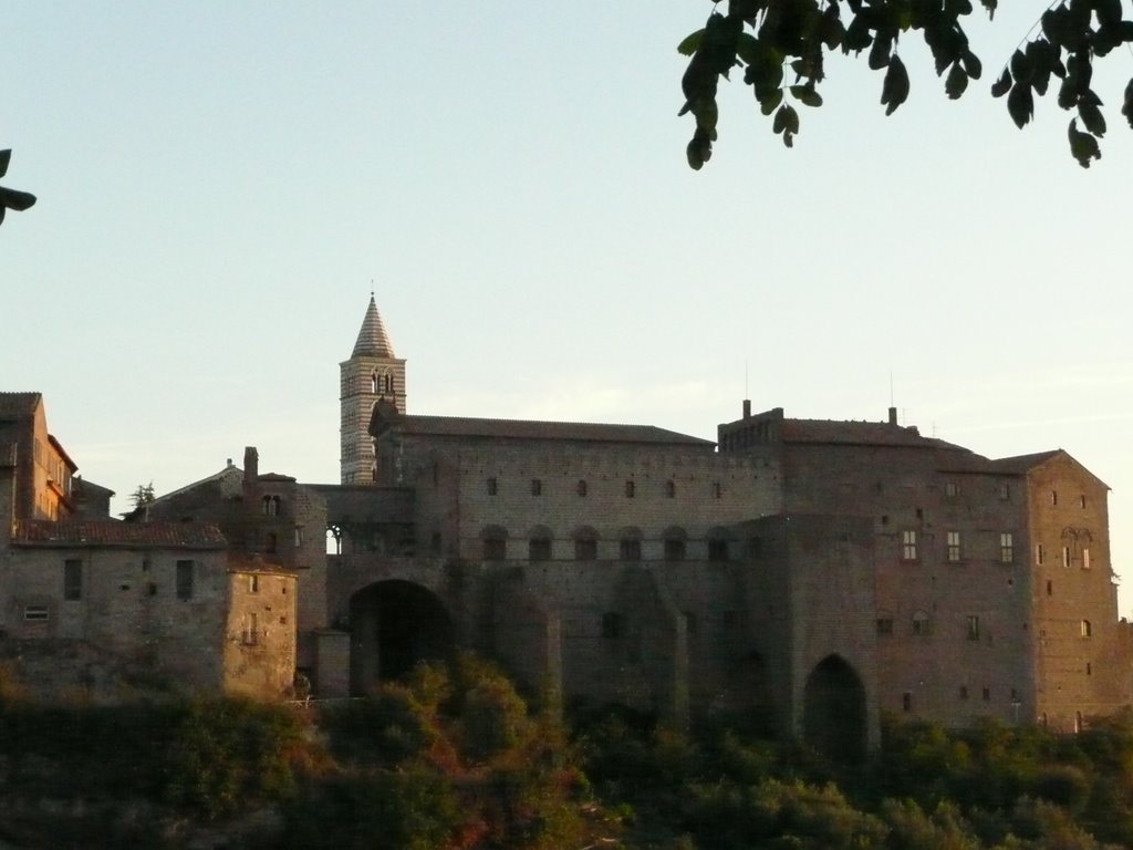biennale