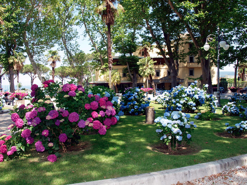 bolsena