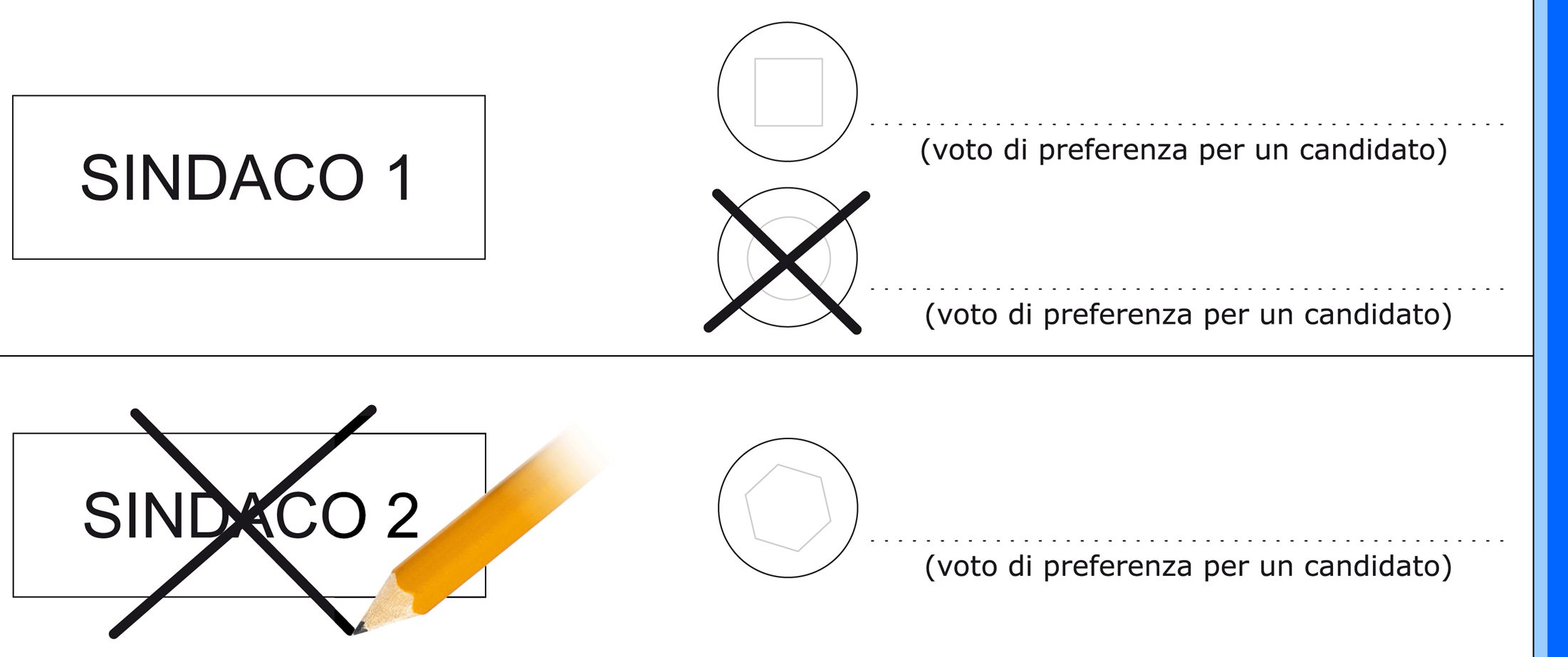 voto disgiunto