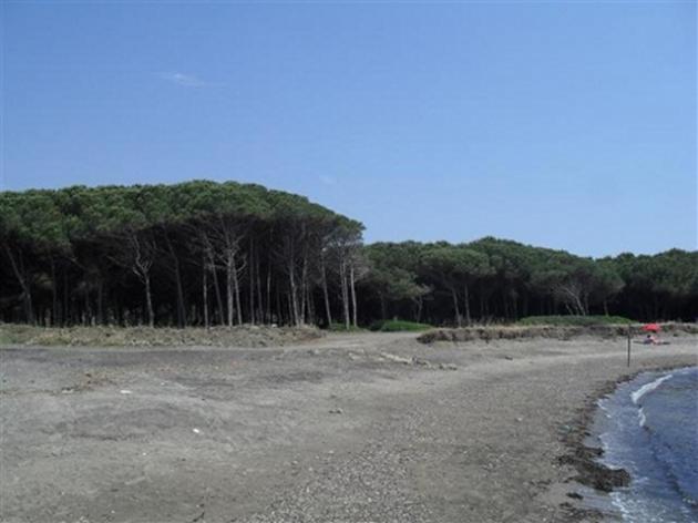 san giorgio