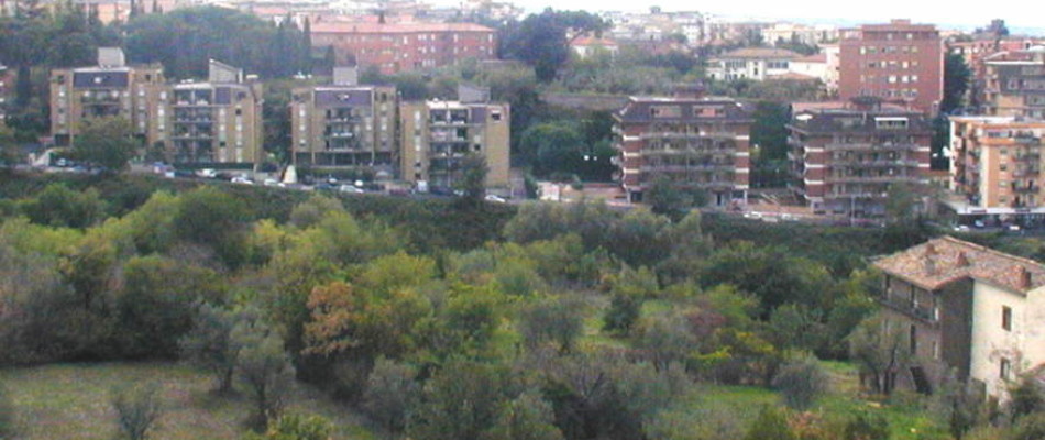 arcionello