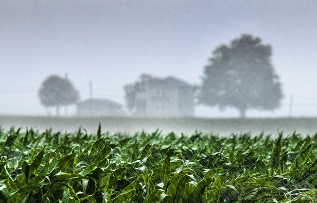 agricoltura