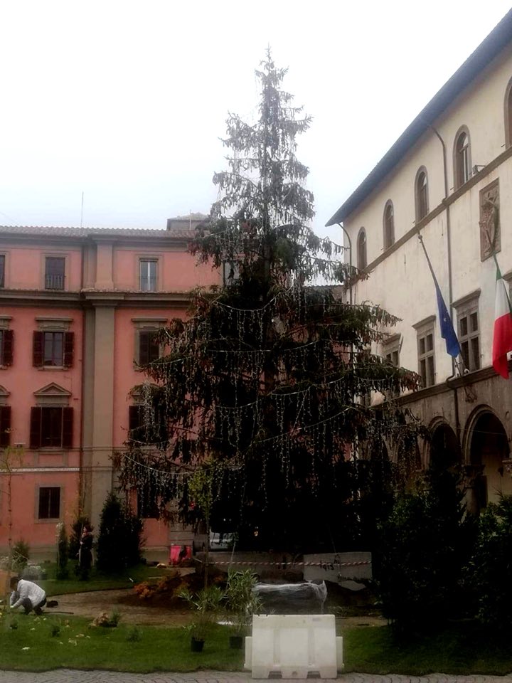 scapigliato