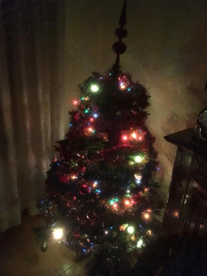 albero