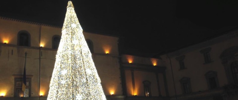 albero-a-e1449612853237-796x336